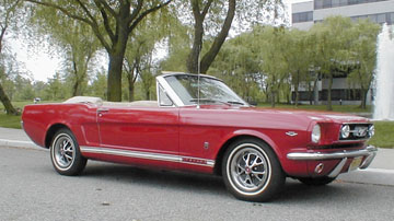 Mustang 01.jpg (33933 bytes)